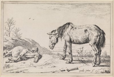 Worn-out Horses by Paulus Potter