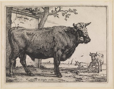 The Bull by Paulus Potter