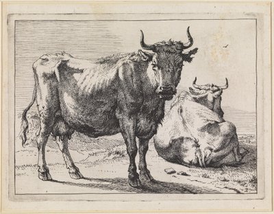A Standing and a Lying Cow by Paulus Potter