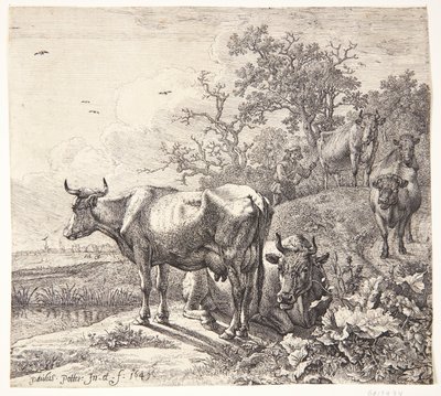 Kohyrden by Paulus Potter