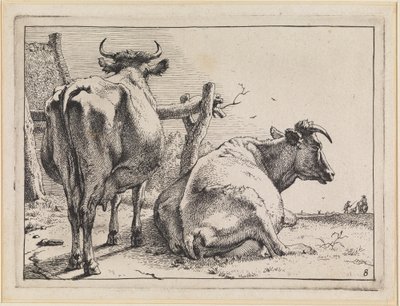 Two Cows Seen from Behind by Paulus Potter