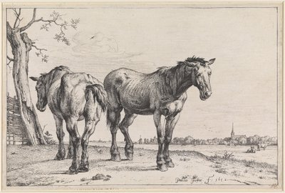 Two Plough Horses by Paulus Potter