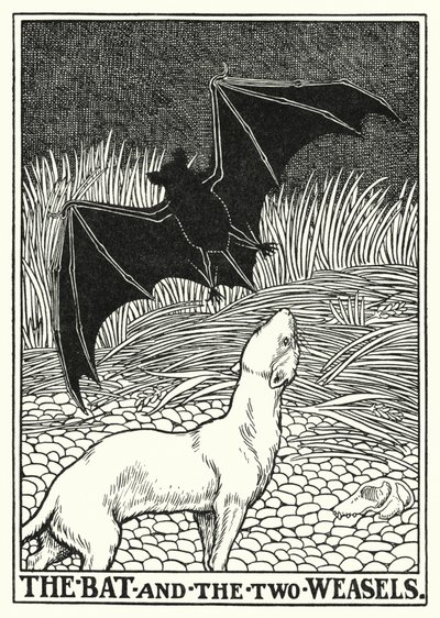 Fables of La Fontaine: The bat and the two weasels by Percy James Billinghurst