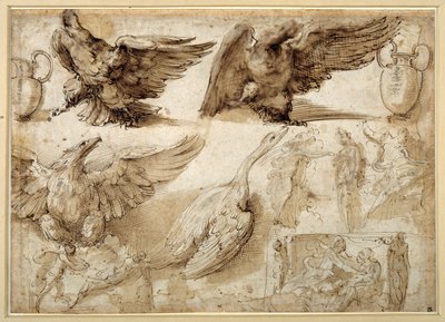 Studies of an Eagle, a Goose, a Jug, a Jar and of Human Figures Including Two for a Rape of Lucretia by Perino del Vaga