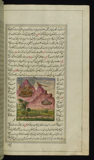 Two sparrows set on fire and a falcon from Lights of Canopus by Persian School