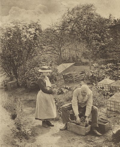 A Garden End. [Suffolk] by Peter Henry Emerson