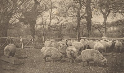 An Autumn Pastoral by Peter Henry Emerson
