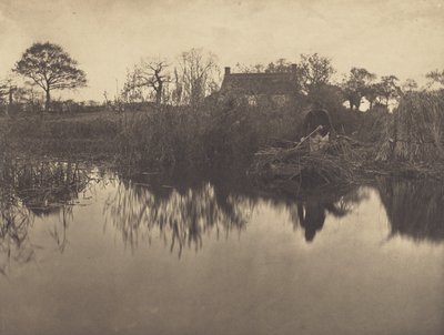 Quanting the Gladdon by Peter Henry Emerson