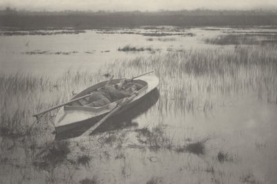 Gunner Working Up to Fowl by Peter Henry Emerson and T.F. Goodall