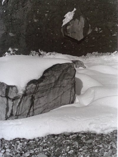 Vintage B&W Photo No.3, 1985 by Peter McClure