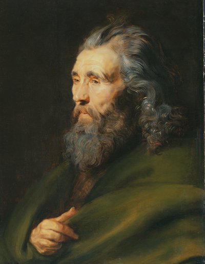Head Study of a Bearded Man by Peter Paul Rubens
