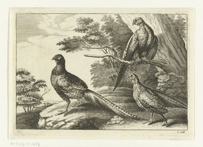 Three Pheasants Various Birds (series title) by Peter van Liesebetten