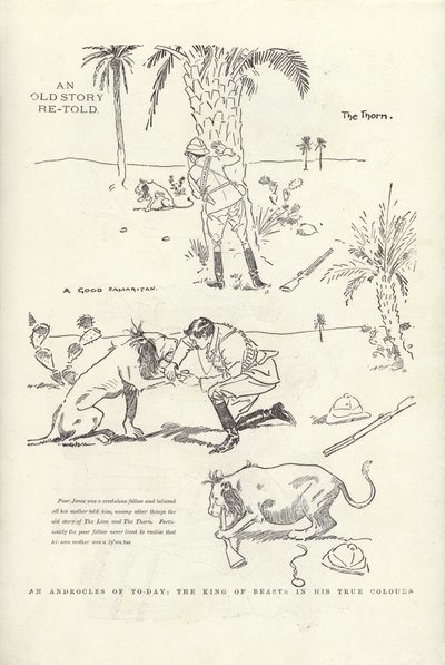 An Androcles of Today, the King of Beasts in His True Colours by Phil May