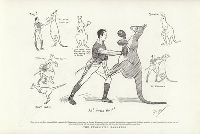 The Pugilistic Kangaroo by Phil May