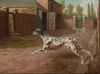 A Dalmatian Running in a Stable Yard by Philip Reinagle
