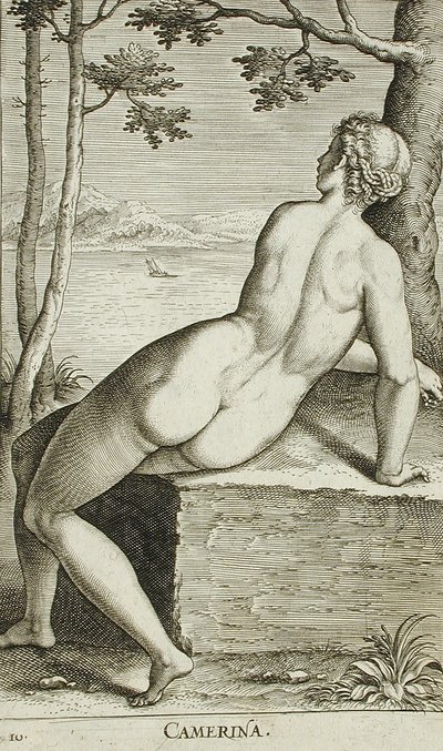 Camerina by Philips Galle