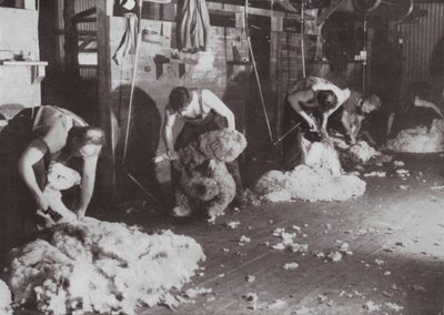 A truly Australian study of a Shearing Shed by Photographer Australian