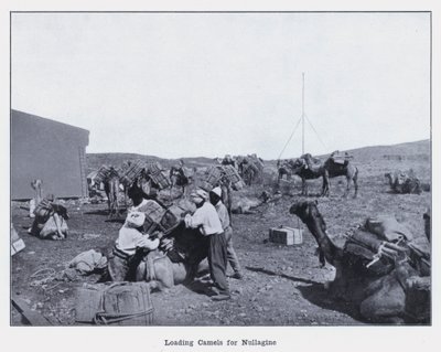 Loading Camels for Nullagine by Photographer Australian