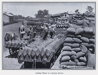Loading Wheat at a Country Station by Photographer Australian