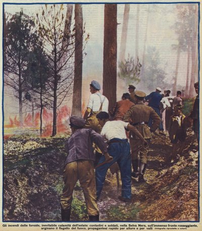 Peasants and soldiers fighting a forest fire in the Black Forest, Germany by Photographer German