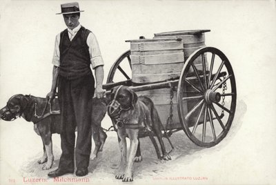 Milkman, Lucerne, Switzerland by Photographer Swiss