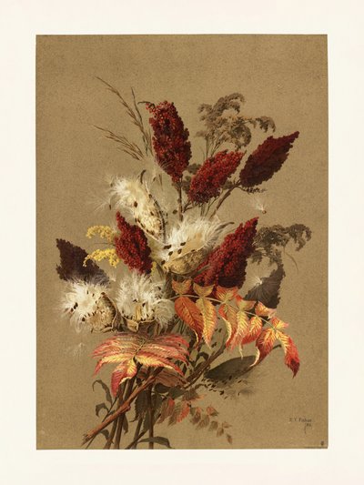 Sumac and Milkweed by Pictufy