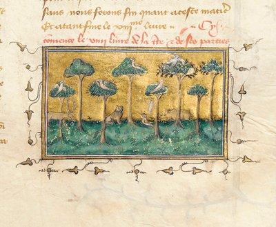 Detail of a Page from 