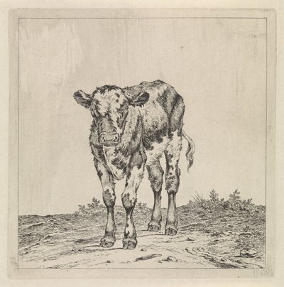 Landscape with Calf by Pieter Janson