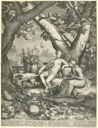 Vertumnus Borrowing the Figure of an Old Woman to Win Pomona