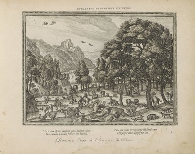 Creation of Man by Pieter van der Borcht (I)