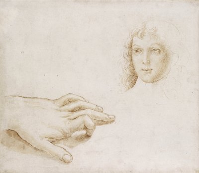 Studies of a Head and a Hand by Pietro (circle of) Perugino