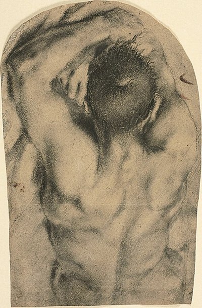 Half-Length Recumbent Male Nude Seen from the Back by Pietro Faccini