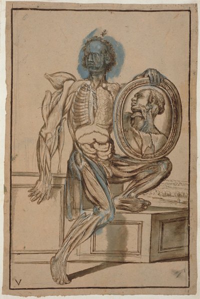 Ms Hunter 653 Plate V Anatomical Drawing, c.1610 by Pietro da Cortona