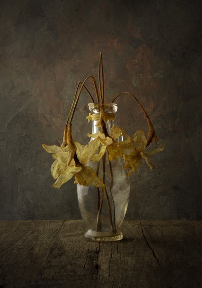Moody Floral Still Life by Popa Kornel Andras