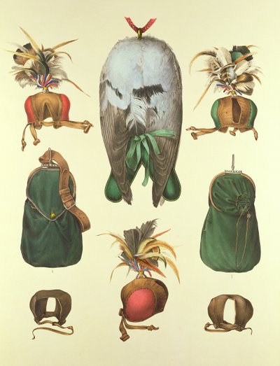 Equipment for Falconry, from 