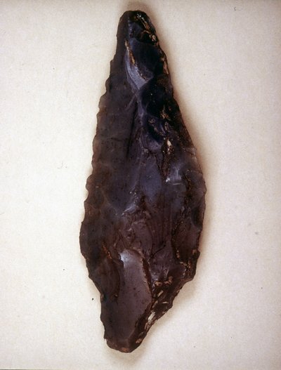 Arrows Point in Flint. Varèse. Museo Archeologico de Milan by Prehistoric Prehistoric