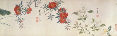 Flowers, Handscroll by Qing Dynasty Chinese School
