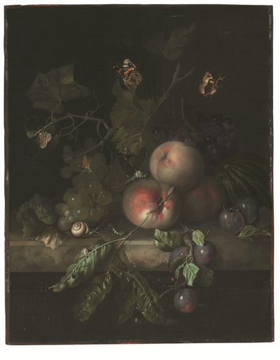 Peaches, grapes, and plums with a dragonfly, snail, caterpillar, moths, and other insects on a stone ledge by Rachel Ruysch
