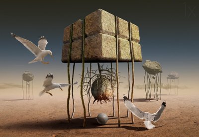 Seagulls Over Desert Structures by Radoslav Penchev