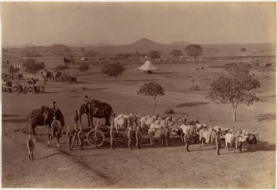 Heavy Field Battery, Jhansi by Raja Deen Dayal