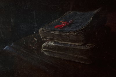 Antique Books Red Flower by Ramiz Sahin