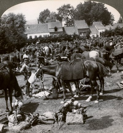 Troops Feeding Their Horses and Resting on the March, World War I by Realistic Travels Publishers