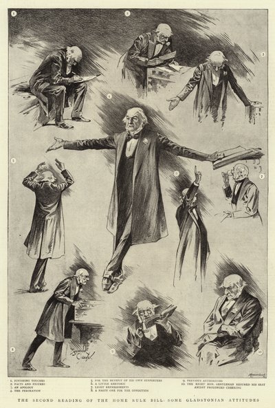 The Second Reading of the Home Rule Bill, some Gladstonian Attitudes by Reginald Thomas Cleaver