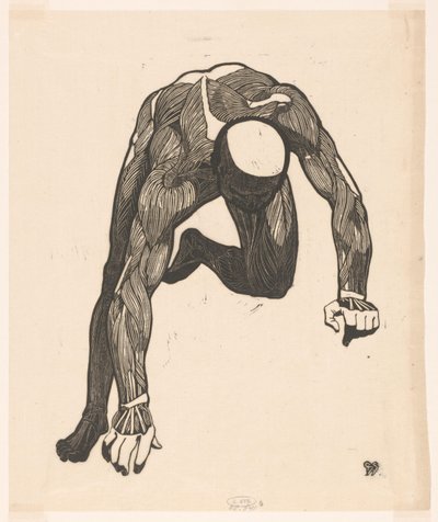 Anatomical Study of the Neck, Arm, and Leg Muscles of a Man by Reijer Stolk