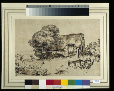 A Thatched Cottage by a Large Tree, a Figure Seated Outside, c.1648-52 by Rembrandt Harmensz. van Rijn