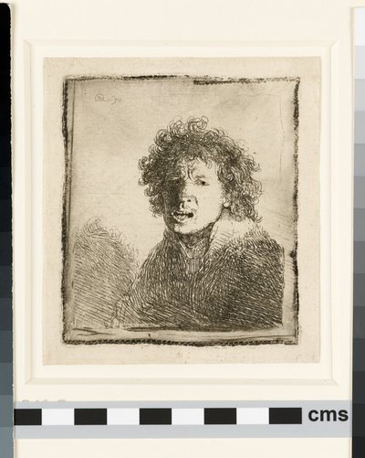 Self-portrait Open Mouthed by Rembrandt van Rijn