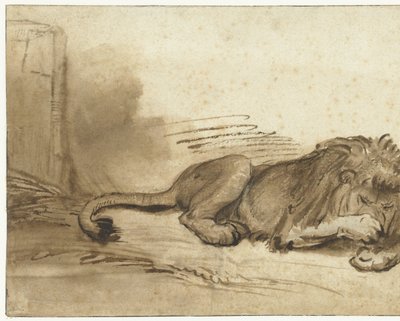 Reclining Lion with Its Forepaw over Its Muzzle by Rembrandt van Rijn (school of)
