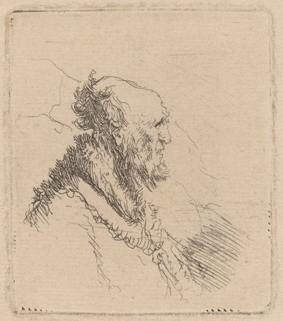 Bald Old Man with a Short Beard in Profile by Rembrandt van Rijn