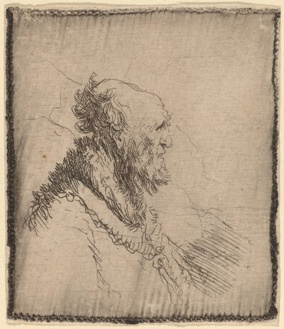 Bald Old Man with a Short Beard in Profile by Rembrandt van Rijn