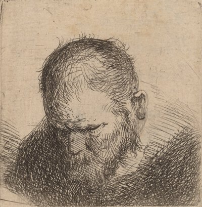 Bearded Man Looking Down, possibly 1631 by Rembrandt van Rijn